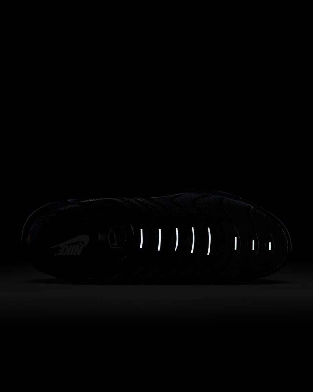 AIR MAX PLUS BLACK